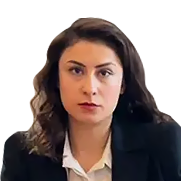 ankara avukat hande koç