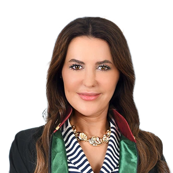 izmir avukat perihan ilke demir